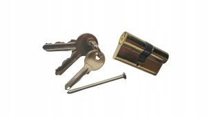 WKŁADKA BĘBENKOWA DO ZAMKA DRZWI 30/30 ekonomiczna